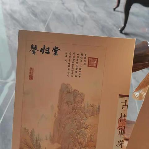 古树茶龙珠