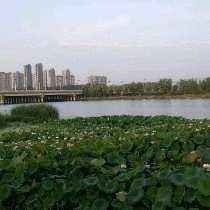 解放路第二小学四(3)班暑期优秀作业展