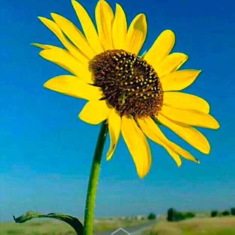 解放路第二小学六3班暑假作业展示