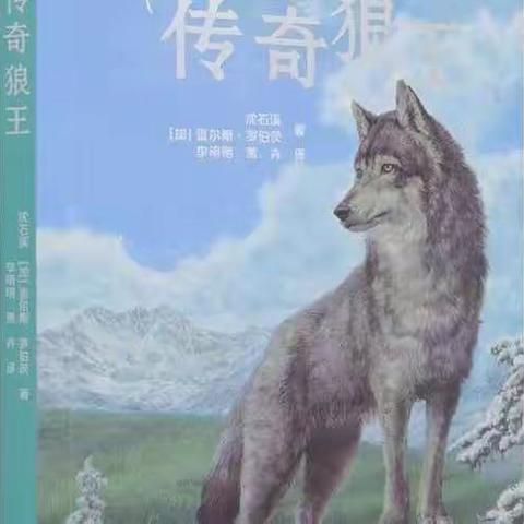 兰州城市区水车园小学知行班快乐读书小组《狼王传奇》线上读书会