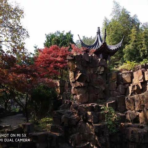 学习中感悟，感悟中成长 一一海南省小学教研员高研班数学组跟岗学习纪实（八）