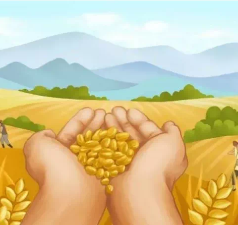 “节约粮食，光盘行动”金维一幼活动倡议书（副本）