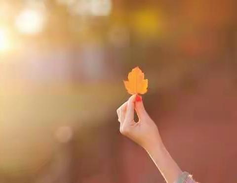 温暖可以复制，回忆充满动力。大常安小学开始招生：招幼儿园宝宝班新生，其余的各班均不招插班生！