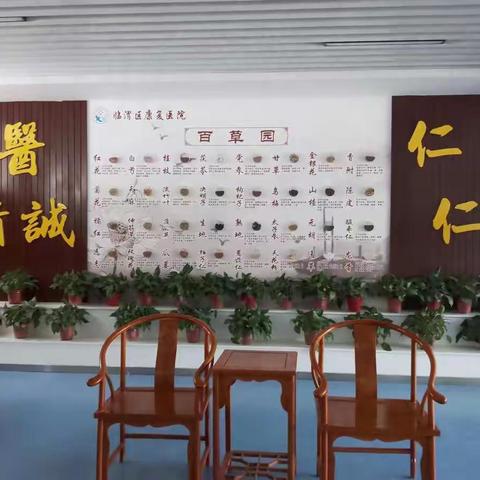 中医学习笔记：形而上学，道器合一，方为仁术