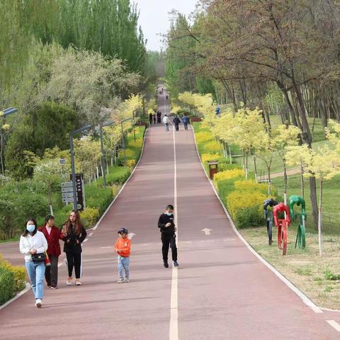 春风未老夏已临