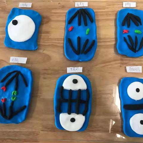 生物实验器具、学具制作参考图片