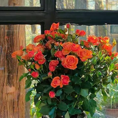 我读书，我快乐——三2班书香班级