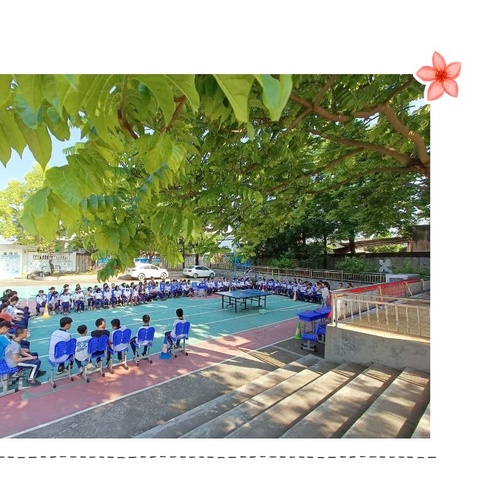 “乒”出精神，“乒”出风采——记坎下小学第14届校园乒乓球赛等系列活动