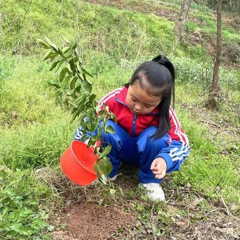 爱绿护绿 我们在行动——茶亭学校课外实践活动记实