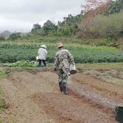 因势转变降低影响保增收