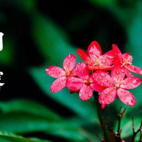 中国传统文化《二十四节气》