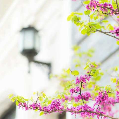 美好“食”光，乐享生活 。