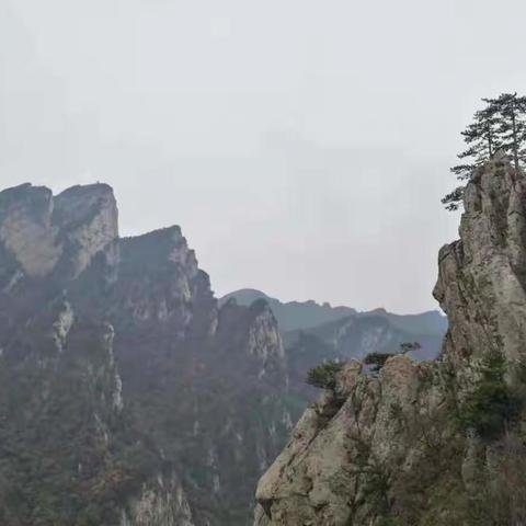 未见倾心 一见倾情 --秋日游老界岭