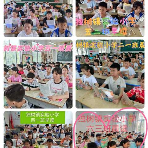 牢记育人使命，逐梦砥砺前行   ——独树镇实验小学5月30日———6月5日周工作总结