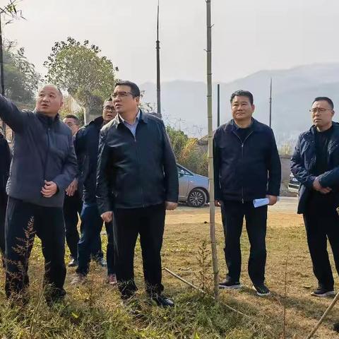 市自然资源局党组书记、局长陈国维一行赴万年县调研自然资源重点工作