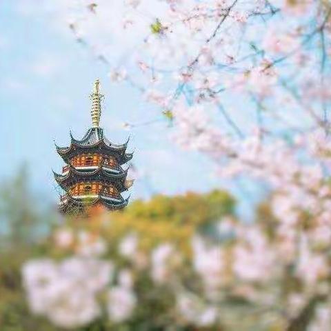 岂曰停课      与尔共学       ---三年级语文备课组线上线下教学衔接工作交流会