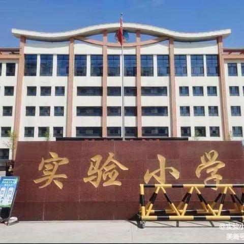 教学评融通 ，为“双减”赋能 ——实验小学“教学评融通”语文校本研修活动