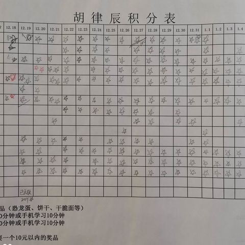 认真对待每一天，开心快乐幸福年——记江桥小学2205班胡律辰的寒假生活