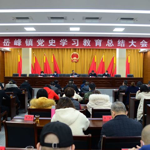 岳峰镇召开党史学习教育总结大会