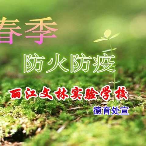 防疫不放松，防火更警惕---丽江文林实验学校德育处致全体家长和同学的倡议书