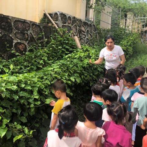 农村幼儿园小班幼儿健康饮食习惯培养的策略研究——小课题主题活动记录