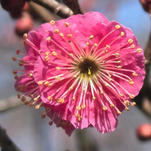 从传统到空性：婚姻制度下的灵魂成长与觉醒之路