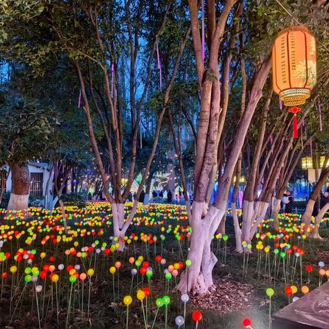 阴阳能量的觉醒与融合：开启生命的美好境界