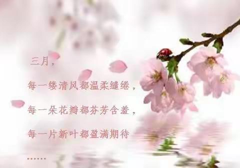 赛课展风采      磨砺促花开               ——记三门峡市第一小学数学优质课赛讲活动