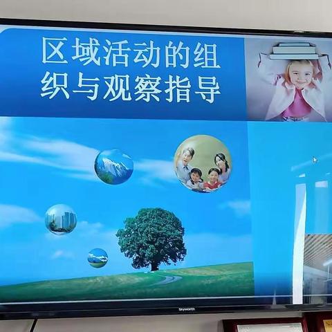 区域活动的组织与观察指导