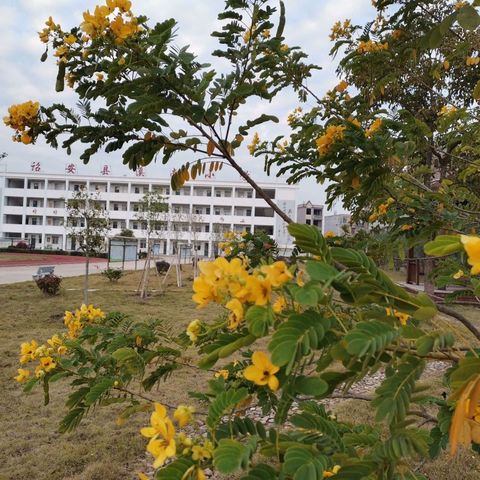 绽放自我，活力无限——诏安县溪南小学2021年秋季校园运动会