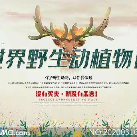 漠河金沟林场开展2023年“世界野生动植物日”主题宣传工作会议