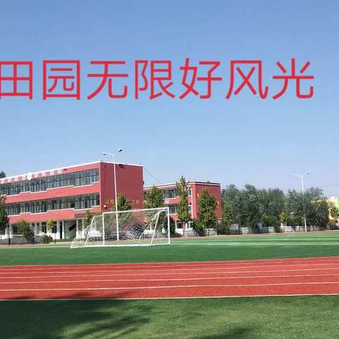 百花竞放，彰显个性，打造绿色田园文化氛围之黑板报展评