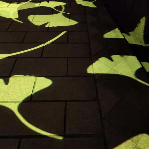 六（4）社会实践