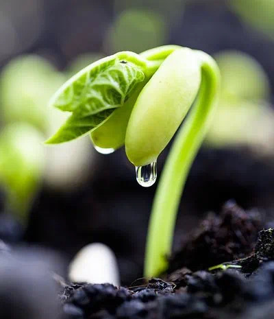 打造生命成长课堂——劳动教育让孩子拥有幸福生活的能力（三）