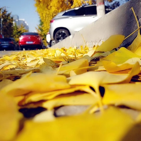 打造生命成长课堂——劳动教育让孩子拥有幸福生活的能力（五）