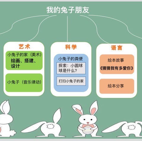 【德城·区幼】我的兔子🐰朋友