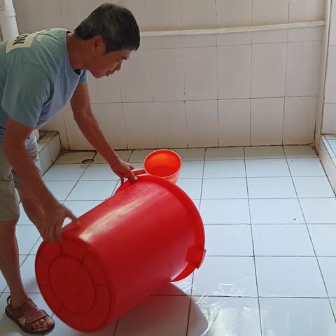 定安县第一小学开展清积水、灭蚊虫🦟🦟🐛预防登革热环境整治工作