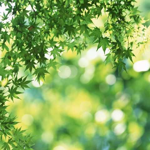 静心盘点细思考 厉兵秣马再出发——石寺二中2019——2020学年教师述职立诺活动
