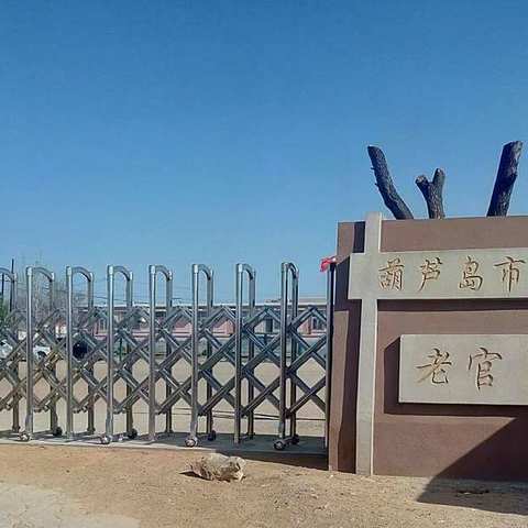 共建书香校园  同享经典之乐                                ——老官卜小学经典诵读小记