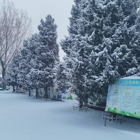 温情融积雪 爱意满校园 ，——孙庄中心学校教职工扫雪除冰在行动