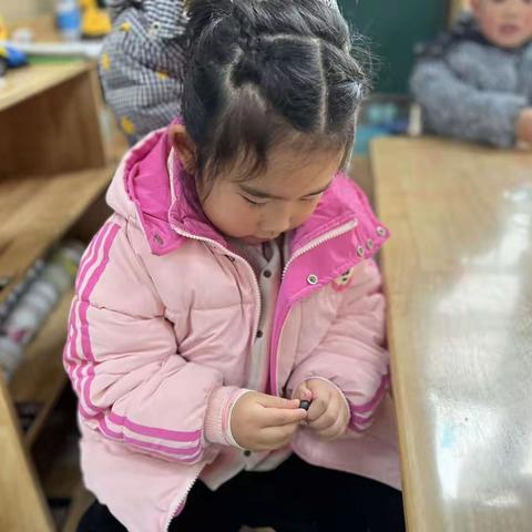 中一班课程故事            《碗莲成长记一》