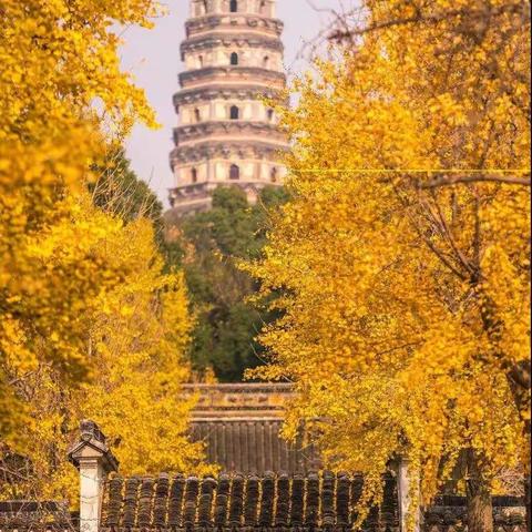 秋已至，苏州美成了姑苏