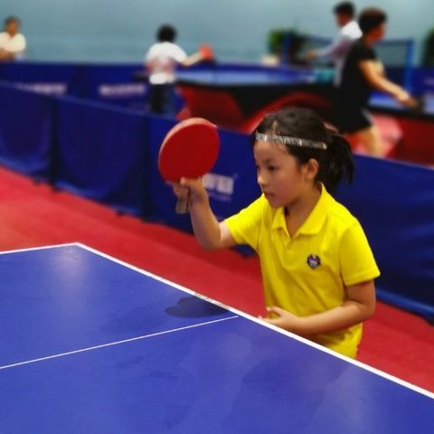 乒乓球(table tennis)，中国国球，是一种世界流行的球类体育项目，包括进攻、对抗和防守。