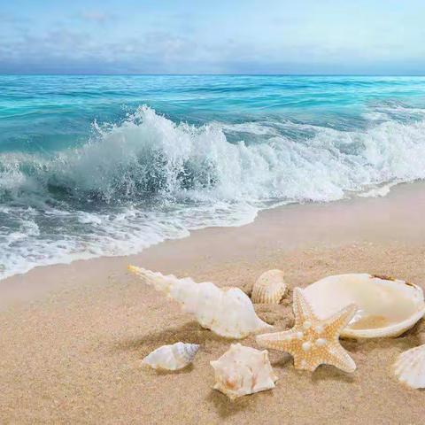 【成长不延期，岁月不等待】卢龙县第四实验小学六（4）班数学活动剪影