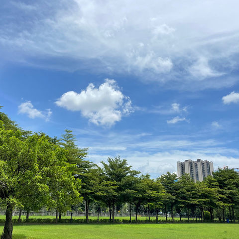 辰熙幼儿园，野外生存实战