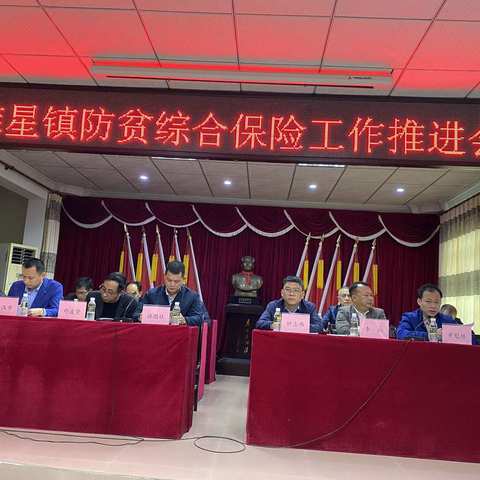 雅星镇再次召开防贫综合保险工作推进会