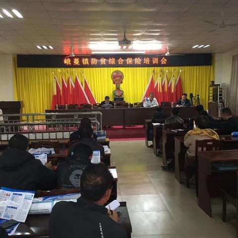 峨蔓镇召开防贫综合保险培训会