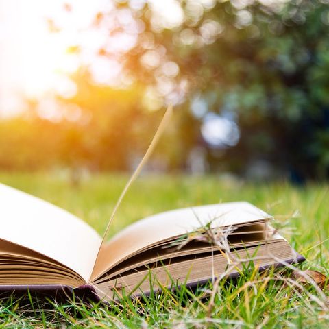 让优秀有“记”可循——钟寄二（3）班孩子们的笔记大比拼