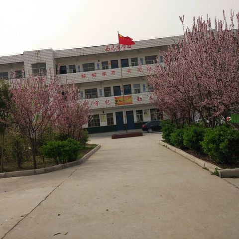 解读教材  遇见精彩                                   ——西马庄小学教材培训