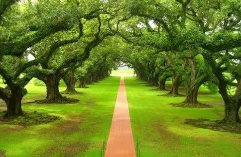 心灵小憩丨简朴的生活，高贵的灵魂